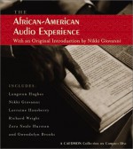 African American Audio Experience: African American Audio Experience - Various, Zora Neale Hurston, Nikki Giovanni, Lorraine Hansberry, Langston Hughes, Gwendolyn Brooks