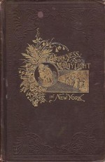 Darkness And Daylight Or Lights And Shadows Of New York Life - Helen Campbell