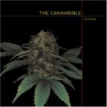 Cannabible Deluxe Boxed Set - Jason King