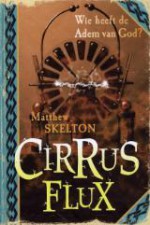 Cirrus Flux - Matthew Skelton, Wiebe Buddingh'