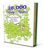 28,000 Baby Names: How To Choose The Best Baby Name.... Guaranteed! Over 600 Pages Long! AAA+++ (Brand New) - Manuel Ortiz Braschi