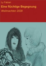 Eine flüchtige Begegnung: Weihnachten 2029 (German Edition) - Ly Fabian