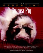 The Essential Guinea Pig - Betsy Sikora Siino