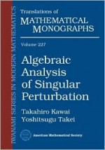 Algebraic Analysis of Singular Perturbation - Takahiro Kawai