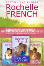 Welcome to Meadowview Volume I (Contemporary Romance Boxed Set): The Meadowview Series Books 1 - 3 - Rochelle French