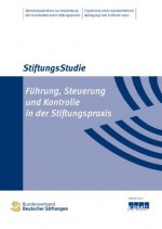 Führung, Steuerung und Kontrolle in der Stiftungspraxis: StiftungsStudie (German Edition) - Hermann Falk, Andreas Kramer, Susanne Zeidler, Bundesverband Deutscher Stiftungen