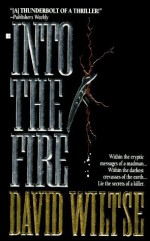 Into the Fire - David Wiltse