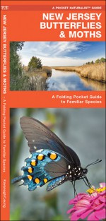 New Jersey Butterflies & Moths: A Folding Pocket Guide to Familiar Species - James Kavanagh, Raymond Leung, James Kavanagh