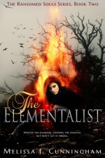 The Elementalist - Melissa J. Cunningham