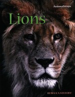 Lions - Rebecca Stefoff