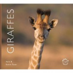 Giraffes. Ann & Steve Toon - Ann Toon, Steve Toon