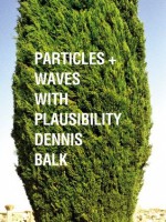 Particles + Waves With Plausibility - Dennis Balk, Howard Halle