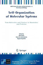 Self-Organization of Molecular Systems: From Molecules and Clusters to Nanotubes and Proteins - Nino Russo, Eugene Kryachko, Victor Ya Antonchenko