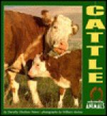 Cattle - Dorothy Hinshaw Patent, William Muñoz