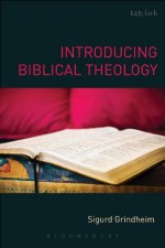 Introducing Biblical Theology - Sigurd Grindheim