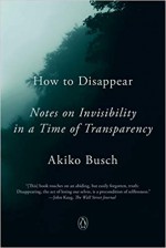 How to Disappear: Notes on Invisibility in a Time of Transparency - Akiko Busch