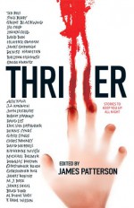 Thriller: Stories To Keep You Up All Night - Steve Berry, James Patterson, Brad Thor, Eric Van Lustbader, Katherine Neville, John Lescroart, Lincoln Child, Michael Palmer, F. Paul Wilson, Ted Bell, Raelynn Hillhouse, Gregg Hurwitz, J.A. Konrath, Dennis Lynds, Gayle Lynds, Chris Mooney, Douglas Preston, Christopher R