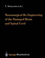 Neurosurgical Re-Engineering of the Damaged Brain and Spinal Cord - Y. Katayama