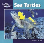 Sea Turtles (Our Wild World) - Lorraine Jay