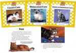 Cats Set 4: Checkerboard Animal Library Anniversary Edition - Nancy Furstinger