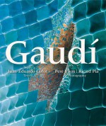 Gaudi - Pere Vivas