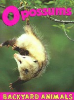 Opossums (Backyard Animals) - Christine Webster