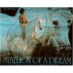 Stallion of a Dream - Robert Vavra