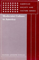 Modernist Culture in America (American Society and Culture Series) - Daniel Joseph Singal, Malcolm Bradbury, David A. Hollinger, George H. Roeder Jr., Houston A. Baker Jr., Carolyn Burke, Daniel Bell, Jackson Lears, John Carlos Rowe