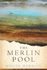 The Merlin Pool - Monte Merrick