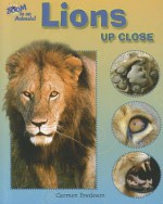 Lions Up Close - Carmen Bredeson