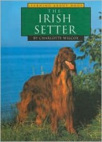 The Irish Setter - Charlotte Wilcox