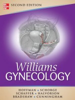 Williams Gynecology, Second Edition (Schorge,Williams Gynecology) - Barbara Hoffman, John Schorge, Joseph Schaffer, Lisa Halvorson, Karen Bradshaw, F. Gary Cunningham