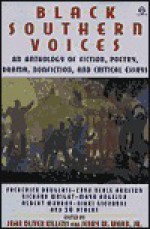 Black Southern Voices: An Anthology - John Oliver Killens, Jerry W. Ward Jr.