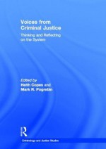 Voices from Criminal Justice: Thinking and Reflecting on the System - Heith Copes, Mark Pogrebin