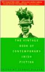 The Vintage Book of Contemporary Irish Fiction - Dermot Bolger