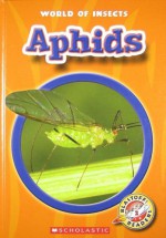 Aphids - Colleen Sexton