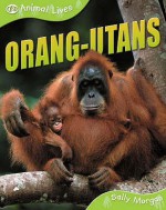 Orang Utans - Sally Morgan, Hannah Ray