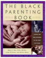 The Black Parenting Book: Caring for Our Children in the First Five Years - Allison Abner, Linda Villarosa, Anne Beal