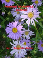 PUSHING UP PURPLE DAISIES (Teddy Books) - Amanda Glenn, Chantall Van Wey, Margaret Eacker