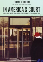 In America's Court: How a Civil Lawyer Who Likes to Settle Stumbled into a Criminal Trial - Thomas Geohegan, Thomas Geohegan