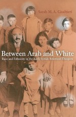 Between Arab and White: Race and Ethnicity in the Early Syrian American Diaspora - Sarah M.A. Gualtieri