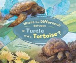 What's The Difference Between A Turtle And A Tortoise? - Trisha Speed Shaskan, Debra Bandelin