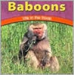 Baboons: Life in the Troop - Adele Richardson