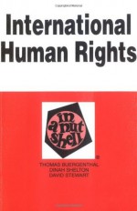 International Human Rights in a Nutshell (Nutshell Series) - Thomas Buergenthal, Dinah Shelton, David P. Stewart