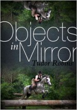 Objects in Mirror - Tudor Robins