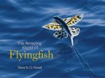 The Amazing World of Flyingfish - Steve N.G. Howell