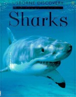 Sharks (Usborne "Discovery" Programme) - Jonathan Miller