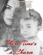 Third Time's A Charm (Book 3 Just a Little Taste Series) - Scarlett Jade