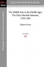 The Middle East in the Middle Ages: The Early Mamluk Sultanate 1250-1382 - Robert Irwin, University Illinois Southern