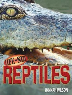 Life-Size Reptiles - Hannah Wilson